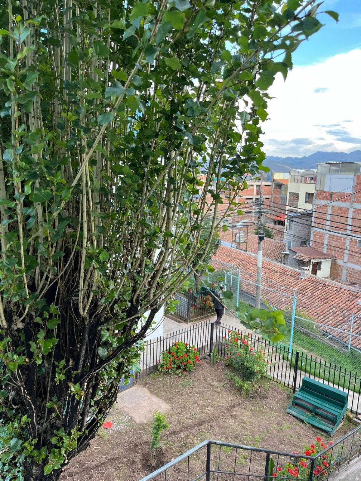 Llamas House Ll Apartamento